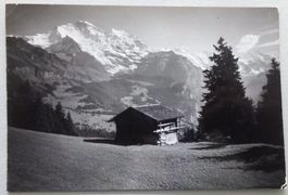 Wengen - Jungfrau
