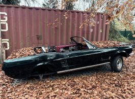 Mustang 1967 Cabrio ohne Papiere Rest Objekt