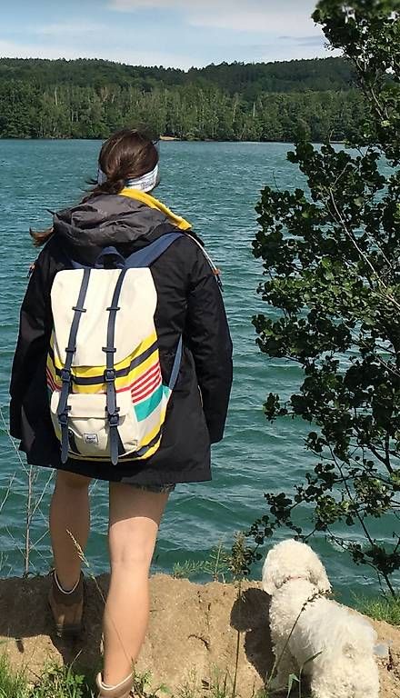 Jack Wolfskin Giacche: Jack Wolfskin Regenjacke Damen – Usato da Baden venduto da Chrisenft 4
