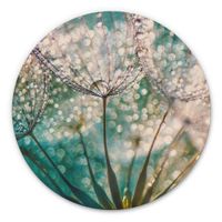 Alu-Dibond Funkelnde Pusteblume Ø 70c (neu, UVP 138.00 Fr.)