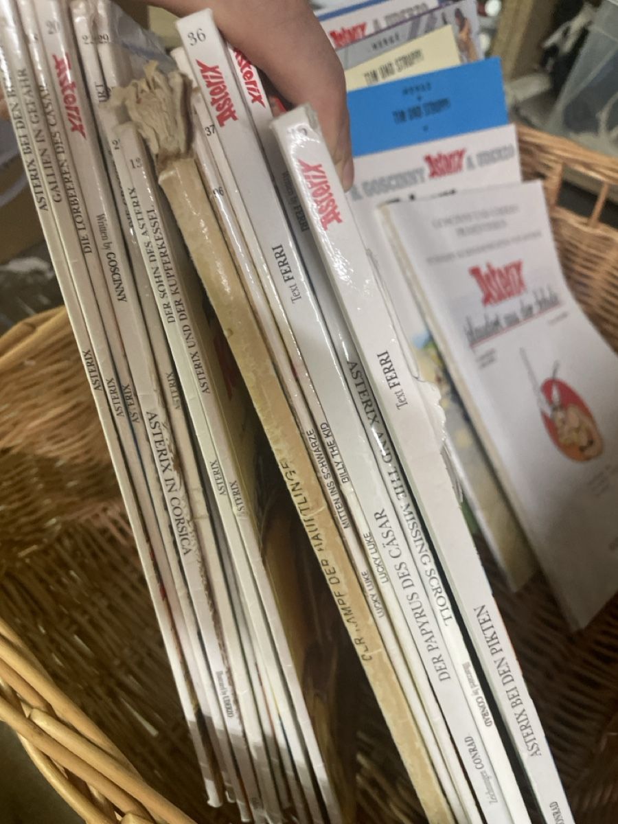 Fumetti: Grosse Comic-Sammlung: Asterix, Tim & Struppi, Lucky Luke – Usato da Liestal venduto da Harvell 2