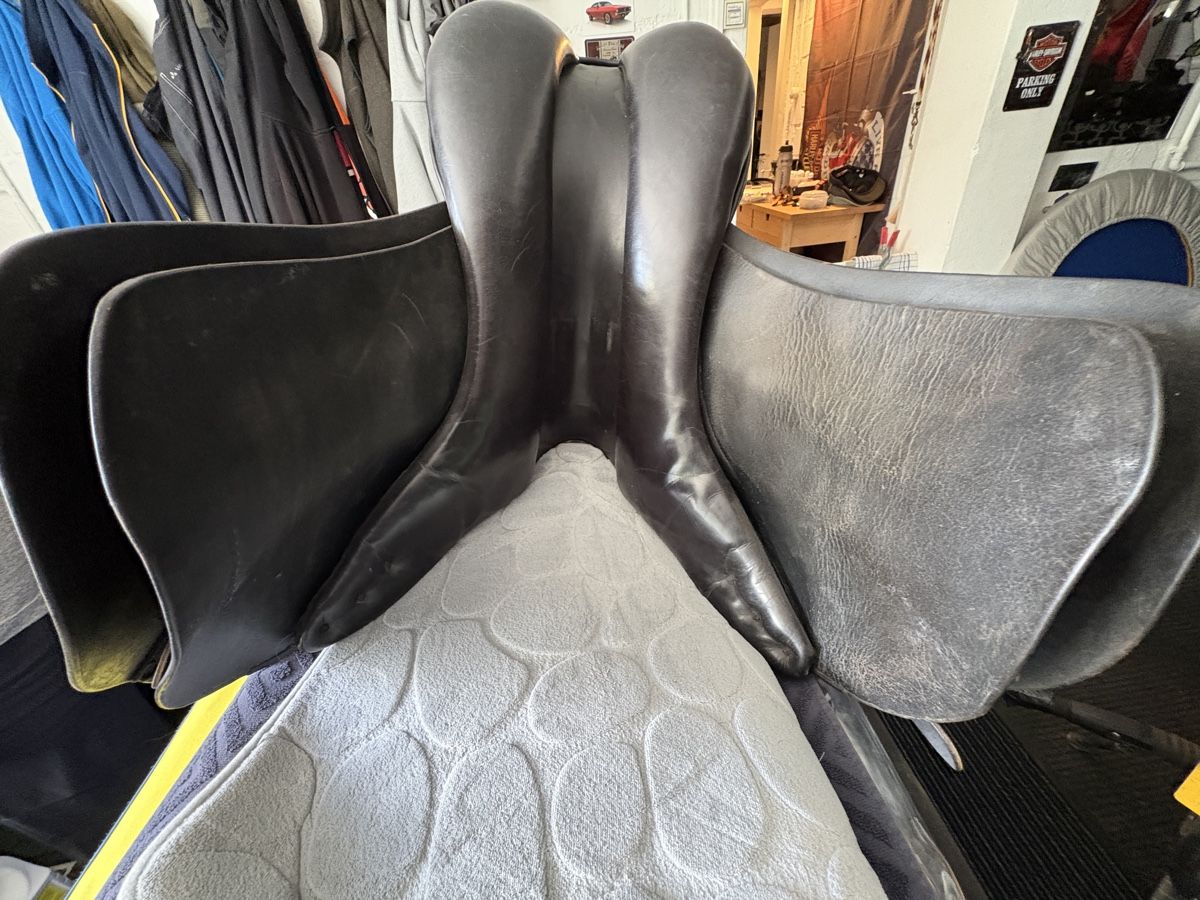 Selle & Accessori: Vielseitigkeitssattel, Leder – Usato da Niederglatt ZH venduto da Rubina2 4