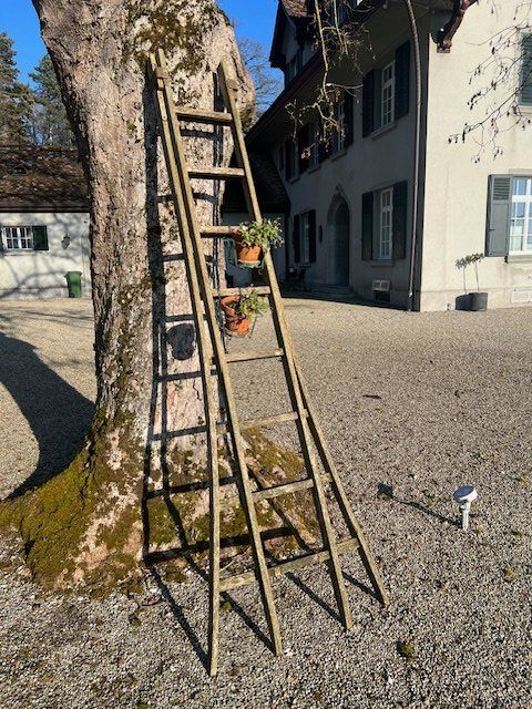 Scale: Schöne, alte Holzleiter – Usato da Winterthur venduto da woodenhiller68