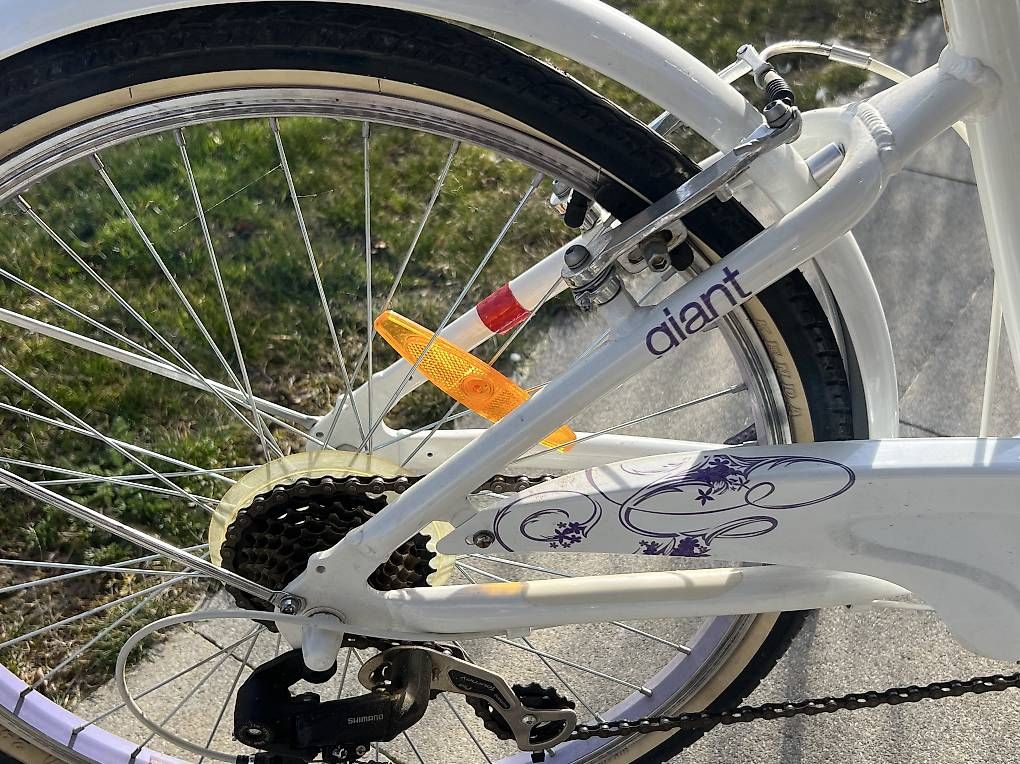 Biciclette: Vélo 20 pouces GIANT Gloss – Usato da Fribourg venduto da pas_bls2 3