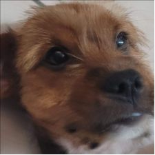 Profile image of coco.21