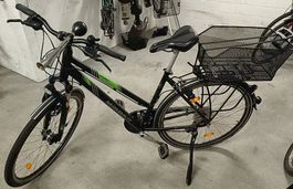 Trekking-Velo Mammut - 28", Magura Bremse, Federgabel, Top