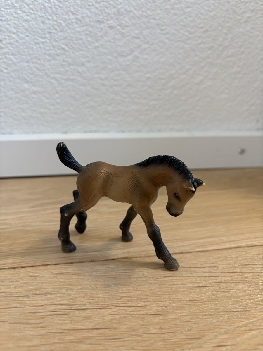 Schleich Spielzeuge: Schleich Fohlen – Gebraucht aus Thun von sop_thg9