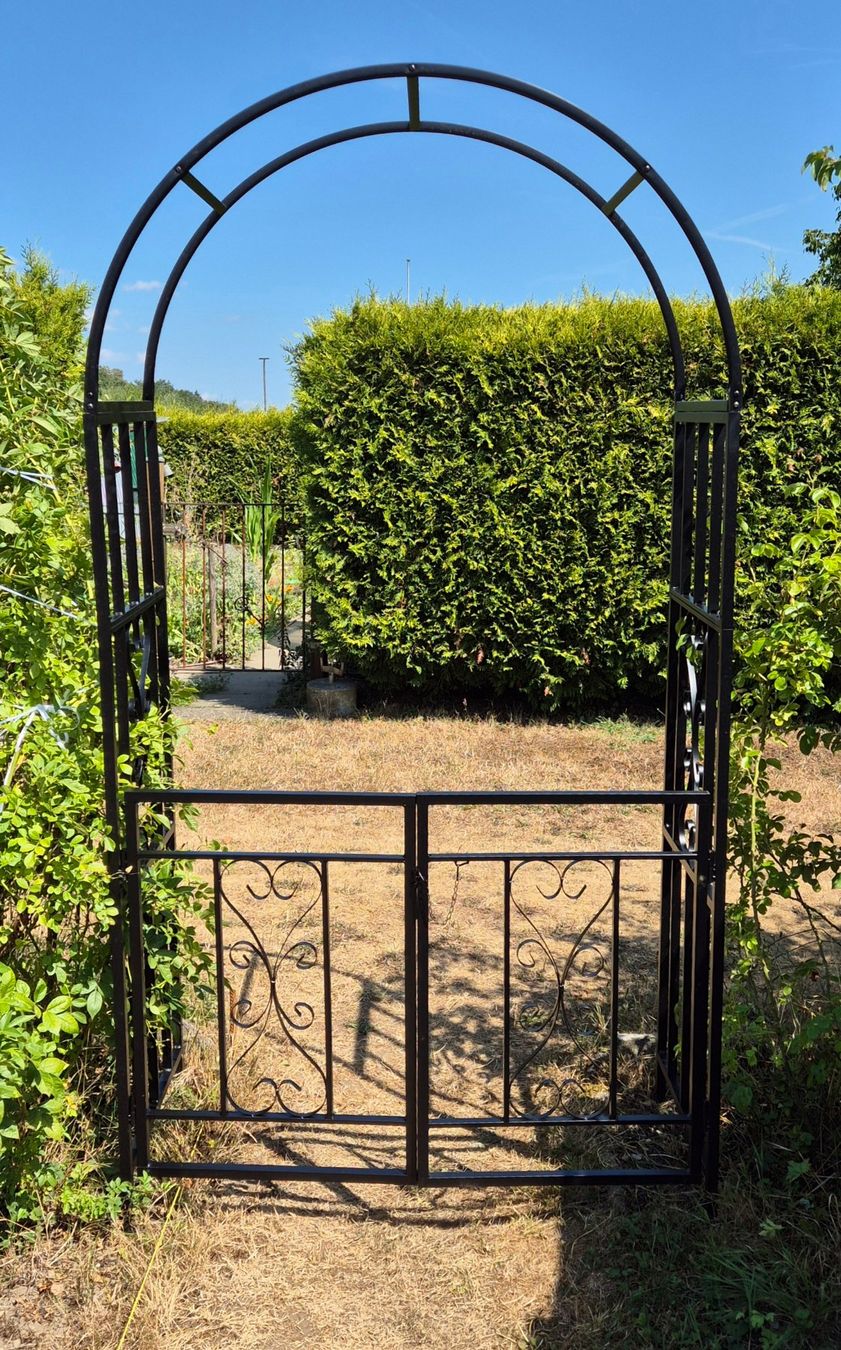Altre Decorazioni per giardino: Rosenbogen-Rosenspalier-Torbogen Dover NP: 190.- – Usato da Rheinfelden venduto da Pit666