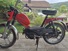 Mofa Pony 503 GTX KAT