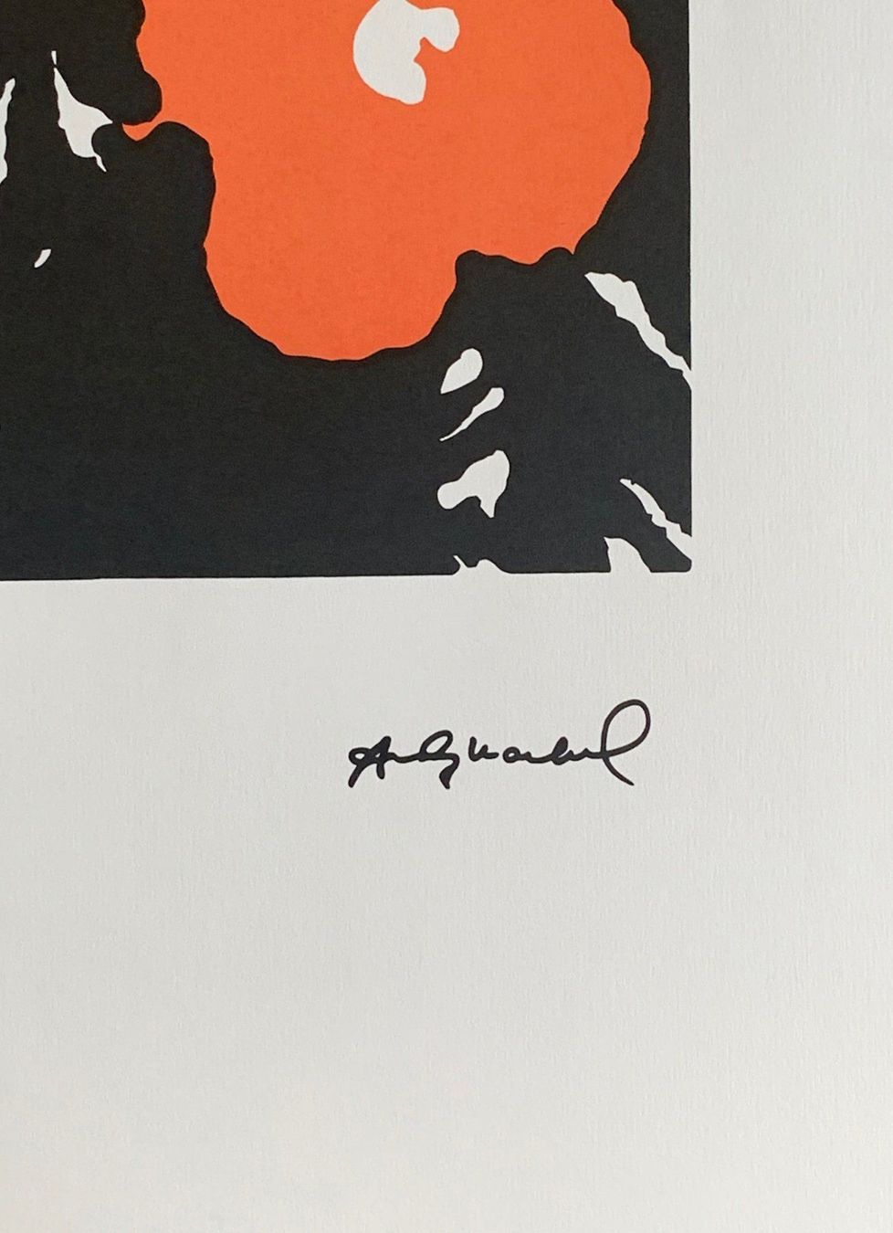Foto & Immagini: Andy Warhol - Flowers 22/100 - Neu eingetroffen – Nuovo e nell'imballaggio originale da Adligenswil venduto da O_D_E_O_N 3