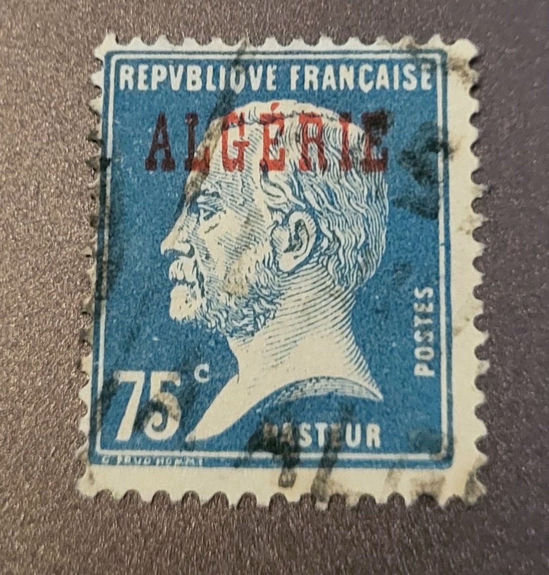 Tutti i francobolli: Algerien 1924 alte briefmarke – Usato da St Gallen venduto da Stampsalshobby