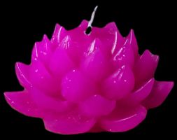 Kerzen in Lotusblüten-Form mit Duft