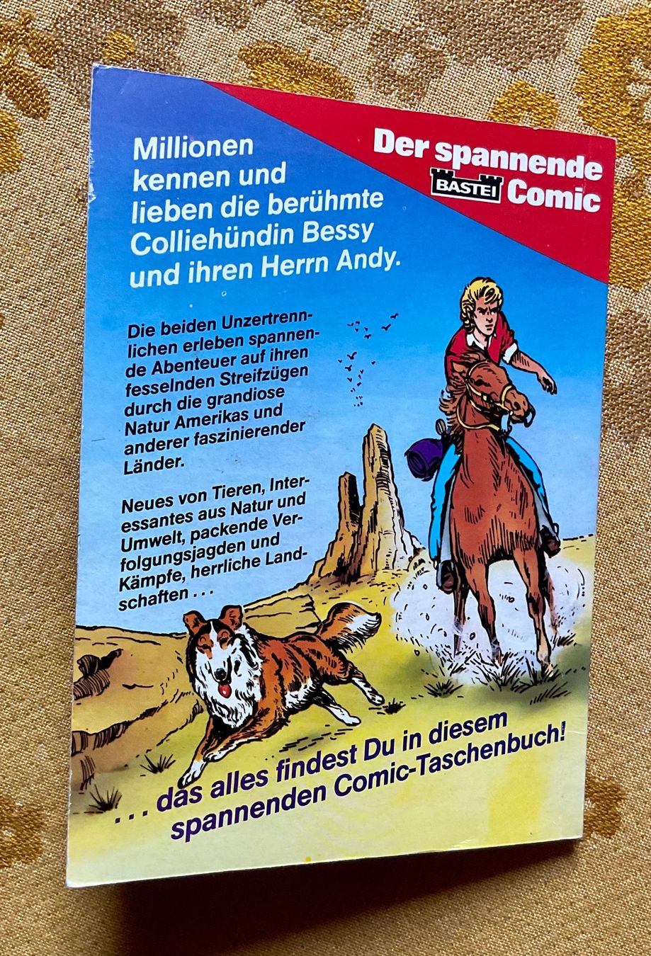 Fumetti: Bessy Taschenbuch Nr 17 – Usato da Endingen venduto da nathan05 9