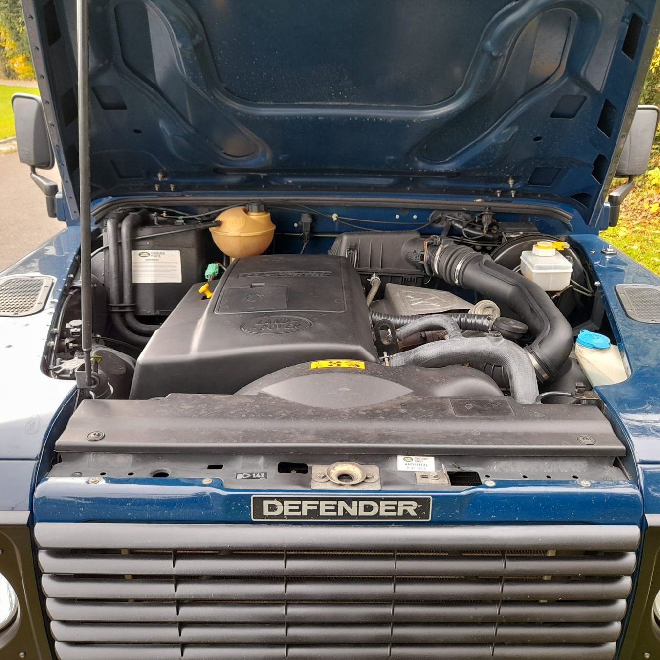 Land Rover Automobili: Defender Cabrio – Usato da Wittenbach venduto da Moto2020 5