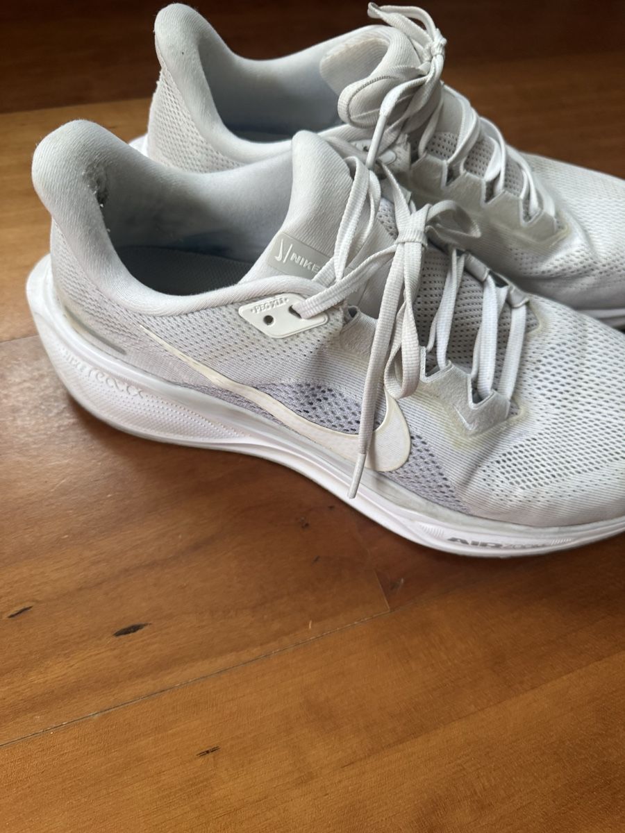 Nike Chaussures hommes: Nike Pegasus Grösse 45 – D'occasion à Wettswil par alstel24 2
