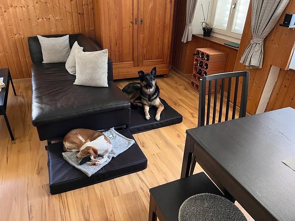 Sofas: Schönes dunkelbraunes Ledersofa – Gebraucht aus Koblenz von man_6kgw 1