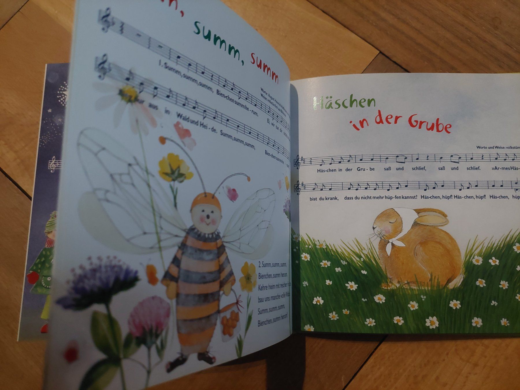 Libri: Geschenkbuch Kinderlieder von Kerstin Hess, SKV-Edition – Nuovo (secondo la descrizione) da Beckenried venduto da Havacola 6