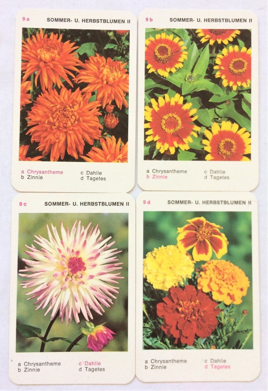 Spiele: Quartett - Bunte Welt - Blumen - Piatnik – Gebraucht aus Schaffhausen von durruti 4