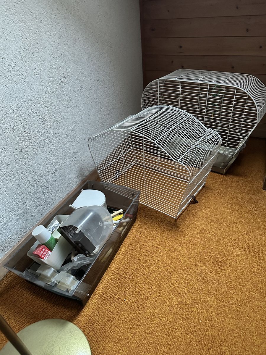 Käfige, Transport & Sicherheit: Vogelkäfige mit Ständer – Gebraucht aus Grüningen von DomegaStore