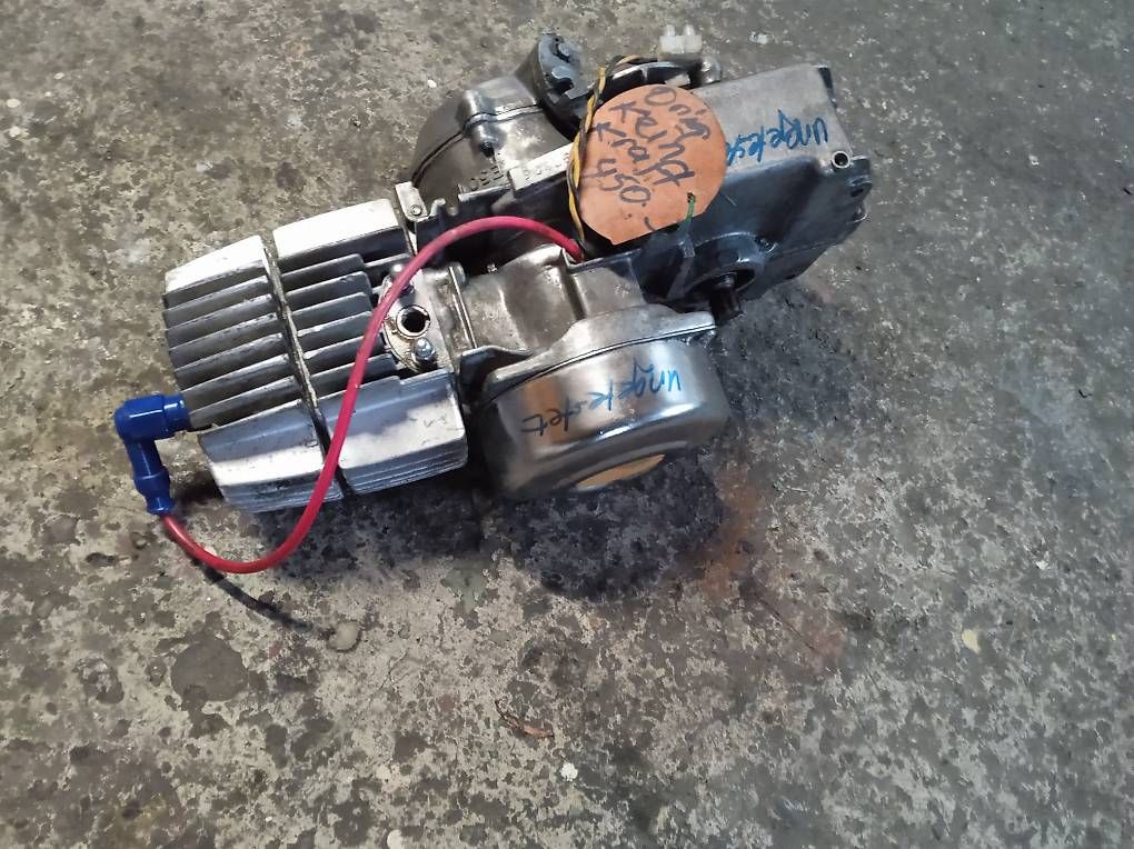 Motori: Puch n/s Motor – Usato da Fulenbach venduto da Elektronik