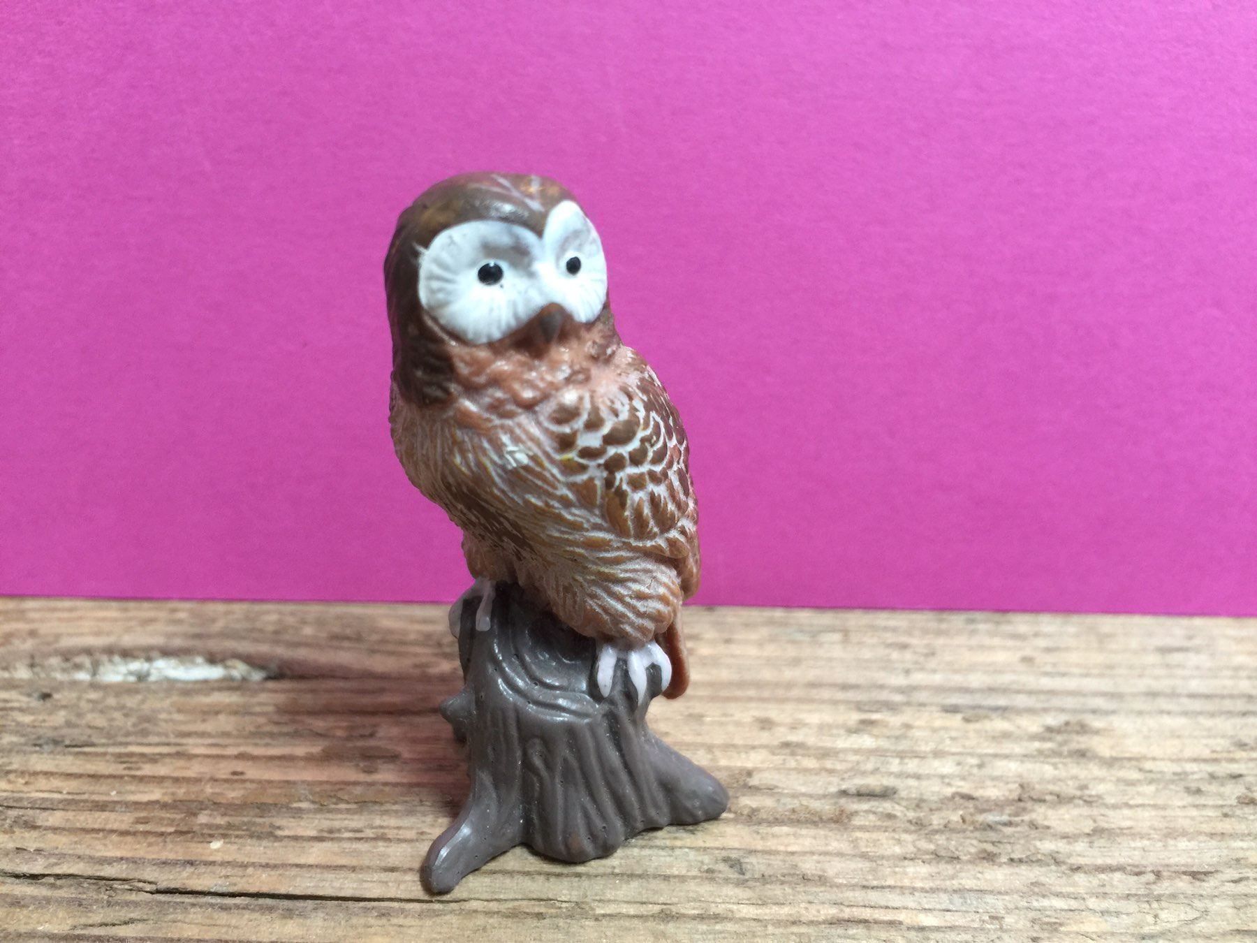 Schleich Figuren: Schleich 14238 - Waldkauz Eule Vogel – Gebraucht aus Ennetbaden von mapa05 2