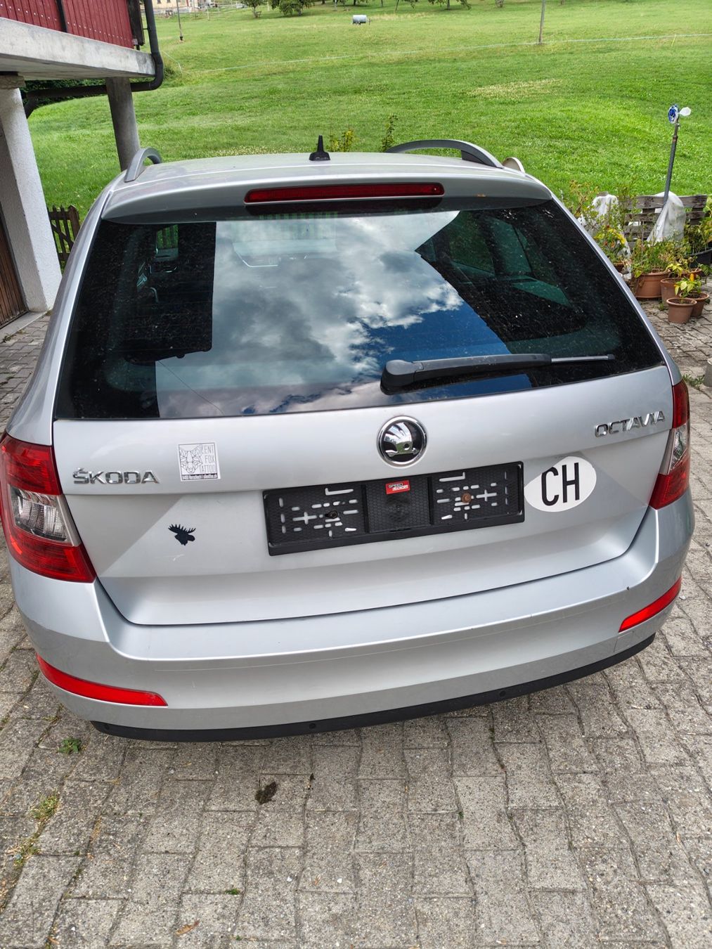 Skoda Automobili: Skoda Octavia 1.6 TDI – Usato da Grub AR venduto da Ashkara 5