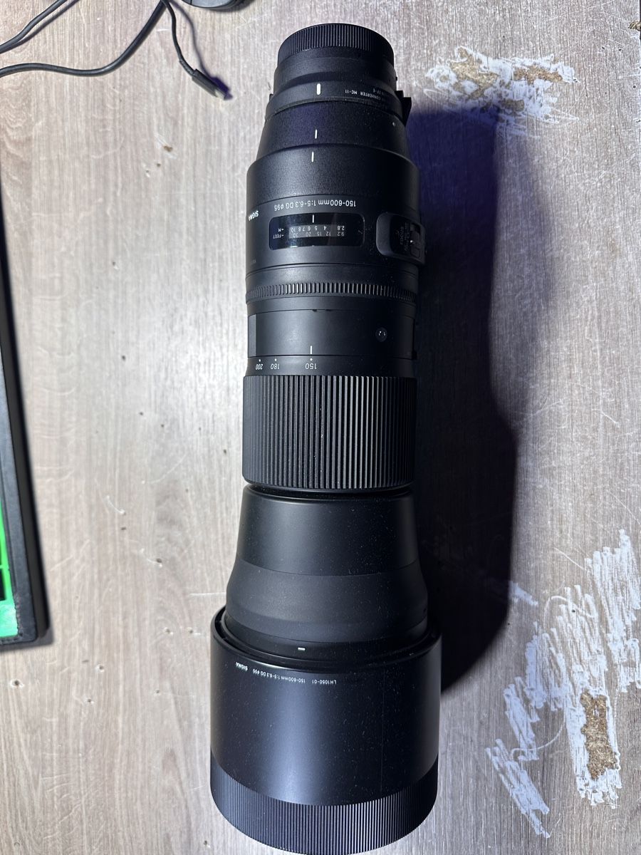 Sigma Obiettivi: Sigma 150-600 EF mit MC11 EF - sony E – Usato da Langwies venduto da nik_c2pk