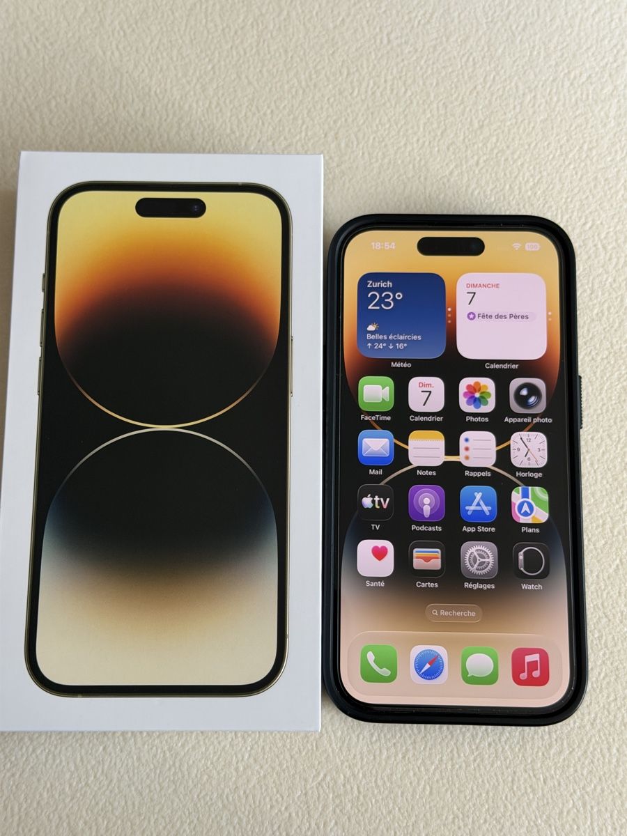 Apple Telefoni cellulari / Smartphones: iPhone 14Pro Gold 512Go – Usato da Chavannes-de-Bogis venduto da ale_zp56