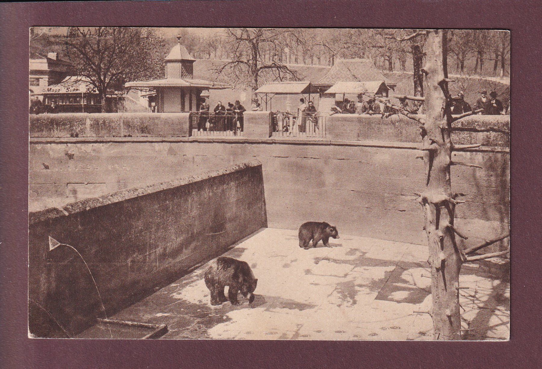 Cartoline postali: BERN - Bärengraben - 1914 // Eckbug // – Usato da Pully venduto da nicecards