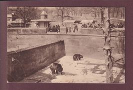 BERN - Bärengraben - 1914 // Eckbug //