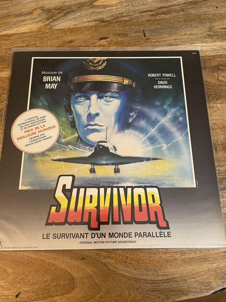 Dischi in vinile: Survivor - Brian May – Usato da Hombrechtikon venduto da baersandro