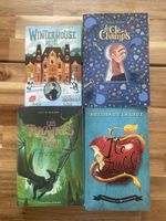 Lot de 4 livres jeunesse français, en bon état