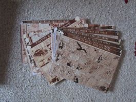 50 pages  Tintins différents   Feuilles plastifiées