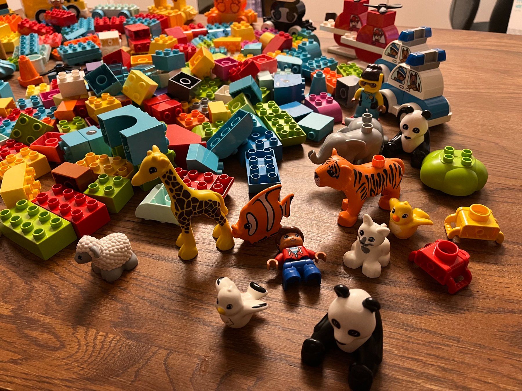 Lego Kit di costruzioni: Lego Duplo Konvolut – Usato da Wiesendangen venduto da mar_yx9r 2