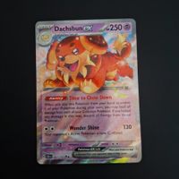 Dachsbun ex #067 Stellar Crown EN (SCR EN)