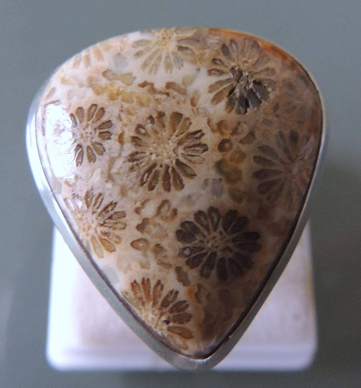Anelli: Fossile Koralle Silber 925 Fingerring – Nuovo e nell'imballaggio originale da Waldenburg venduto da schaller707 2