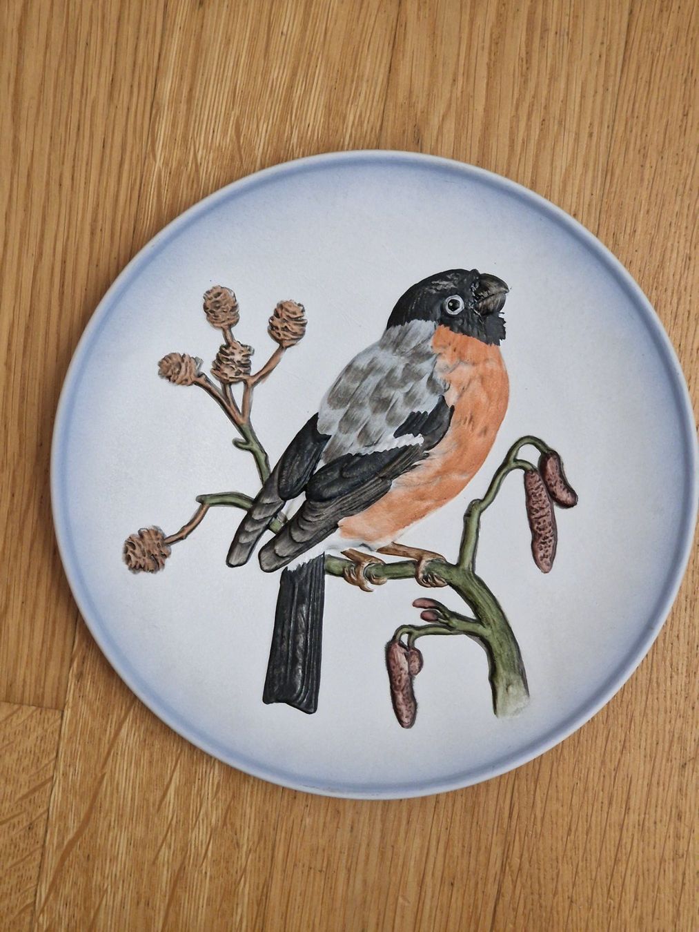 Piatti: Wunderschöner Vogel Teller, Deko Teller, Wandteller Gimpel – Usato da Zürich venduto da Allerlei_Shop