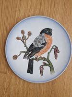 Wunderschöner Vogel Teller, Deko Teller, Wandteller Gimpel