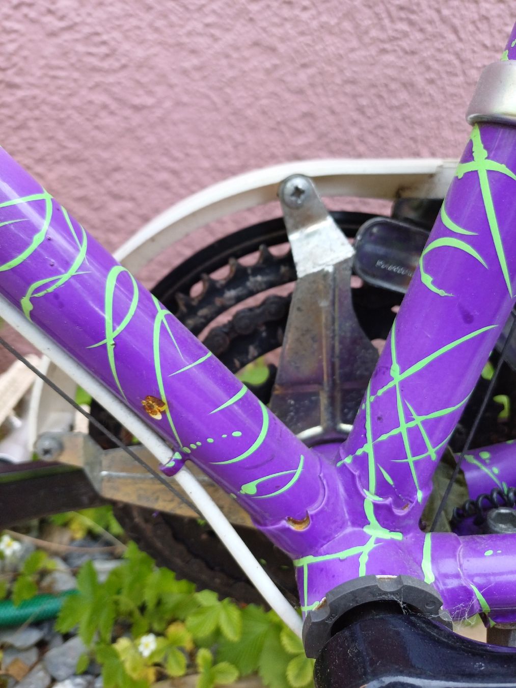 Cilo Biciclette: Cilo Vintage Velo – Usato da Zürich venduto da Avocadokern 9