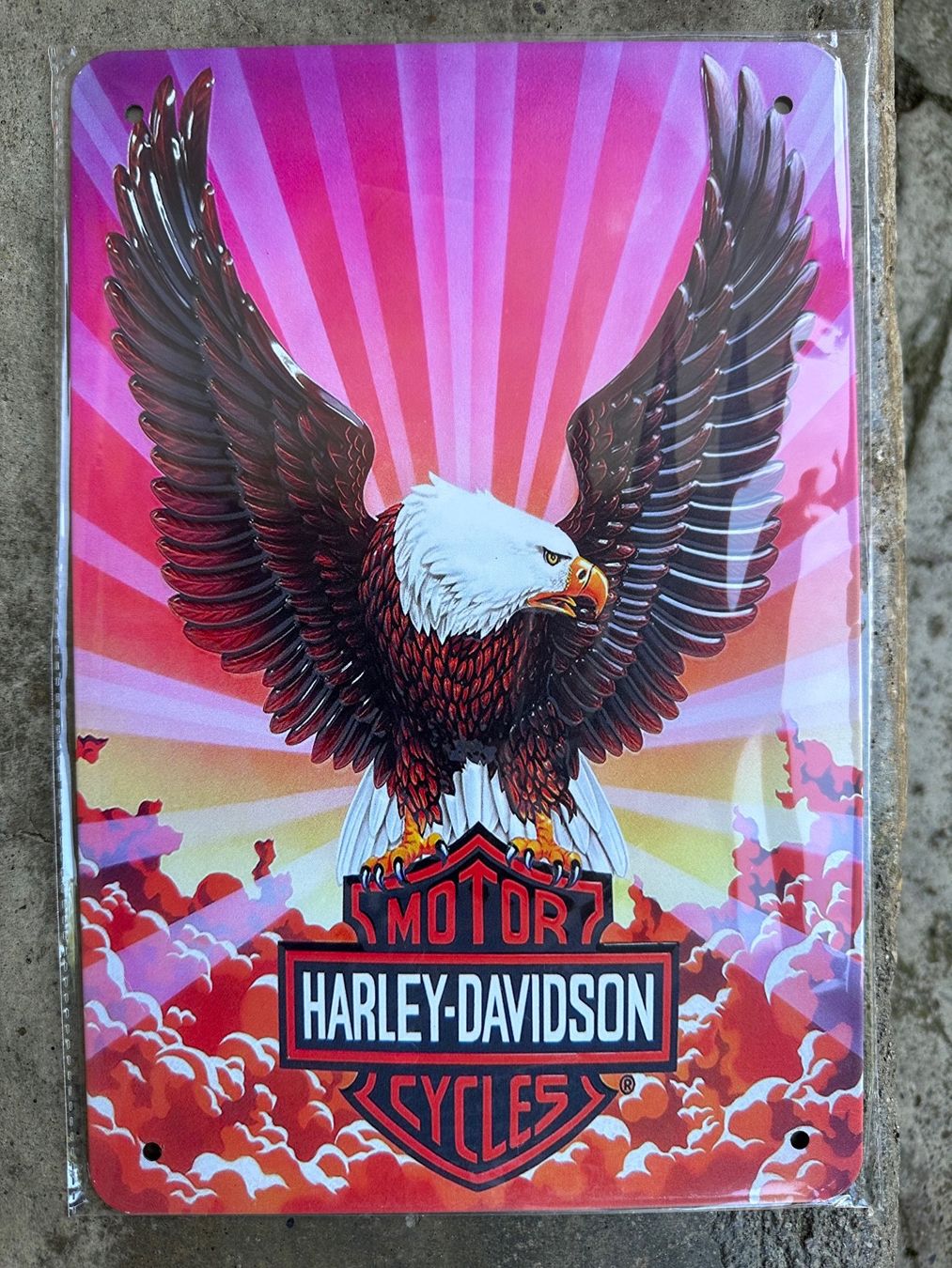 Insegne: Motor Harley Davidson cycles adler – Nuovo (secondo la descrizione) da Reinach AG venduto da rares75