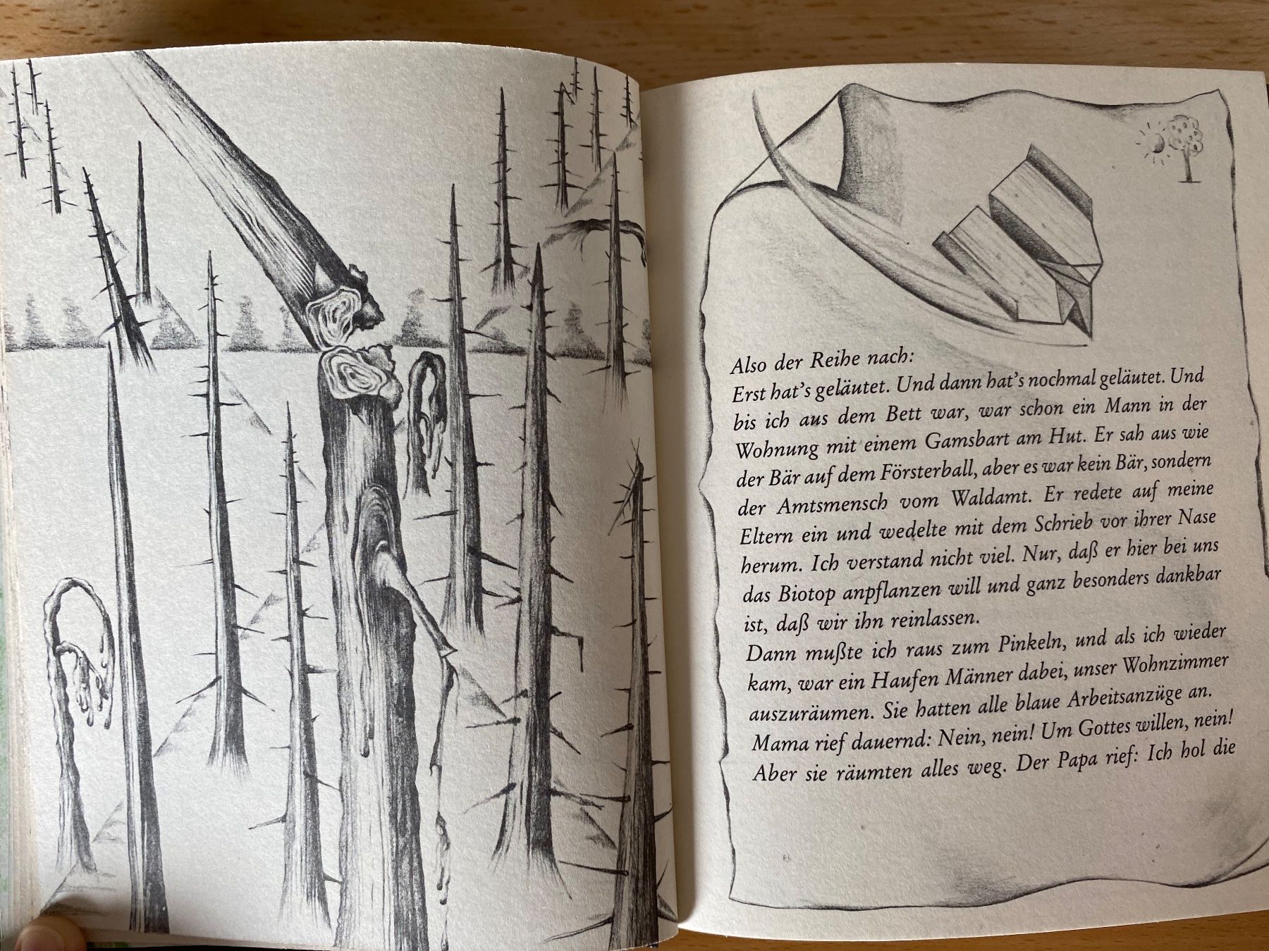 Libri: Der Wald unterm Dach - Rudolf Herfurtner – Usato da Schwarzenburg venduto da Michellu 5