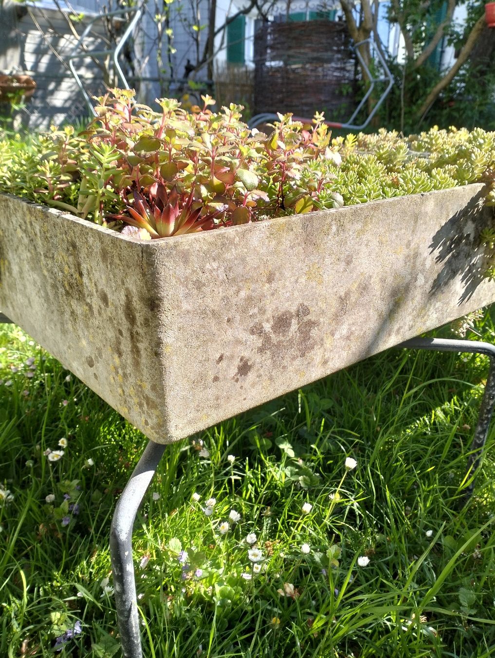 Vasi per fiori: Bruno Rey Blumentopf mit Metalgestell – Usato da Wil SG venduto da die-wohnung 1