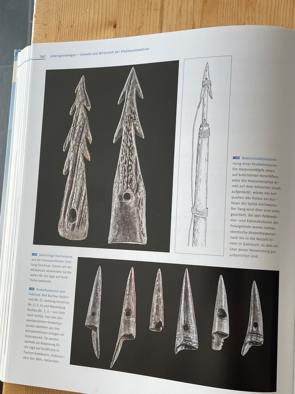 Libri: Geschichte- 4000 Jahre Pfahlbauten – Usato da Sent venduto da ManuelB07 8