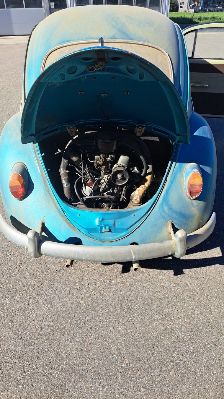 VW Automobili: VW Käfer JG 1964 – Difettoso da Felben-Wellhausen venduto da val_js86 4