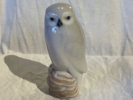 Eule, Royal Copenhagen Vogelfigur Nr. 1741