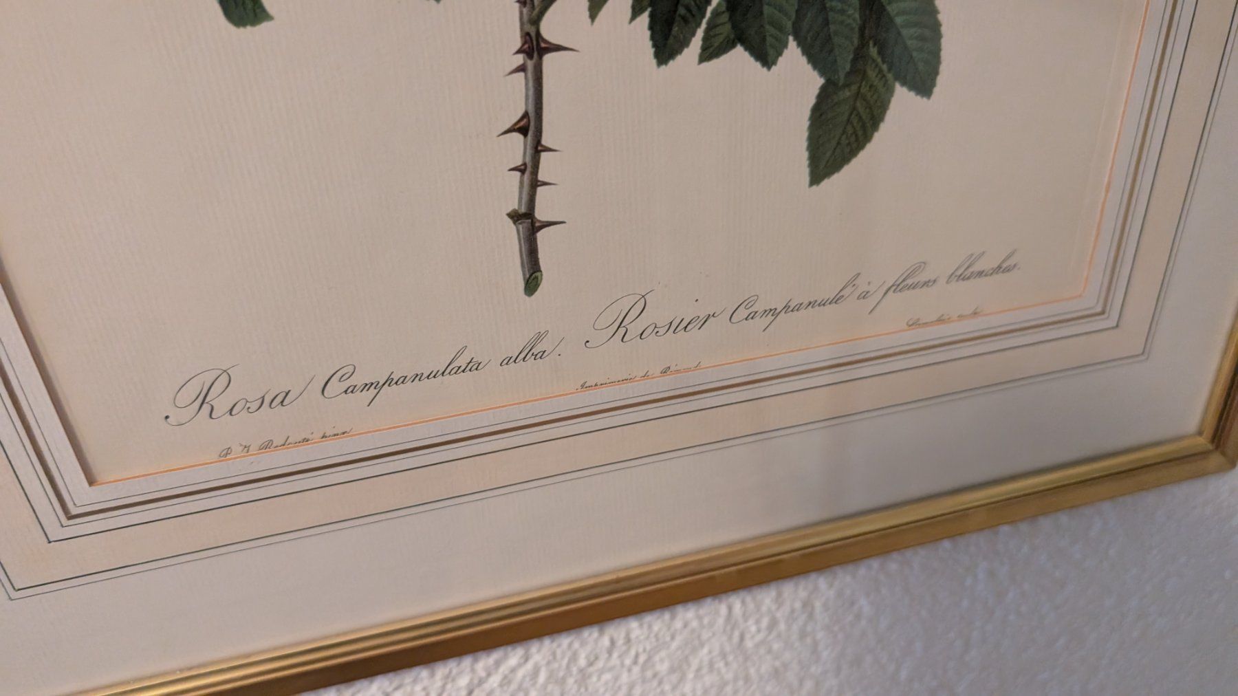 Stiche: Vier Stiche mit Rosenmotiven – Gebraucht aus Ittigen von stoney63 3