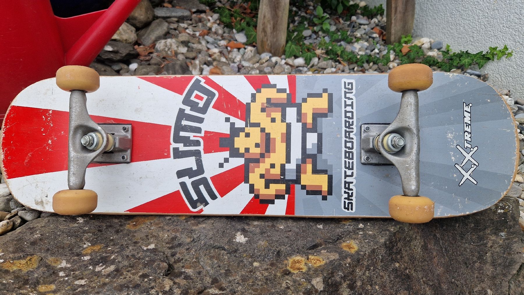 Skateboards: 2 Rollbretter – Gebraucht aus Lutzenberg von Pahaja 2