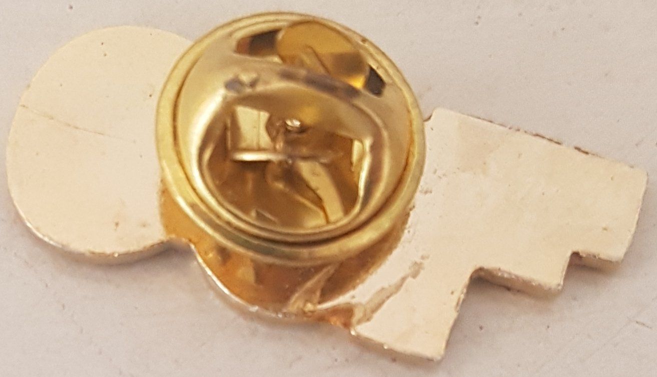 Plaketten & Abzeichen: Pin PTT SSFP NE 93 – Gebraucht aus Neuchâtel von Blondy_73 1
