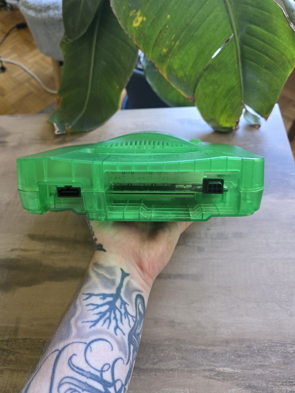 Nintendo Konsolen: Nintendo 64 Jungle  – Gebraucht aus Bôle von A_Kickstory 7