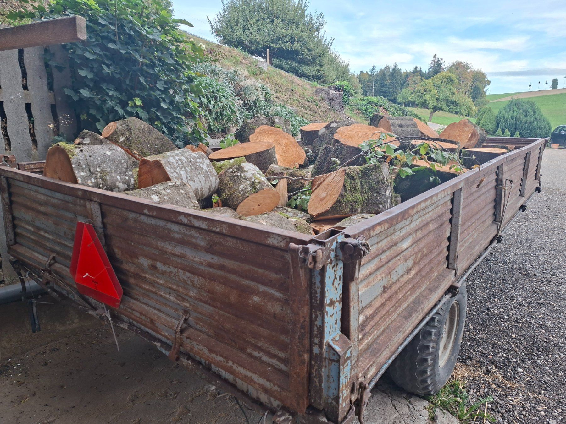 Holzartikel: Buchen Brennholz 25cm – Neu und originalverpackt aus Ufhusen von Caliban86 1